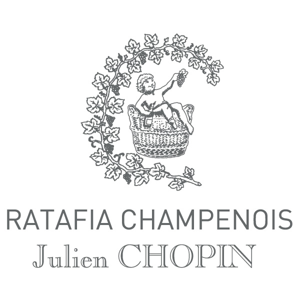 Julien Chopin