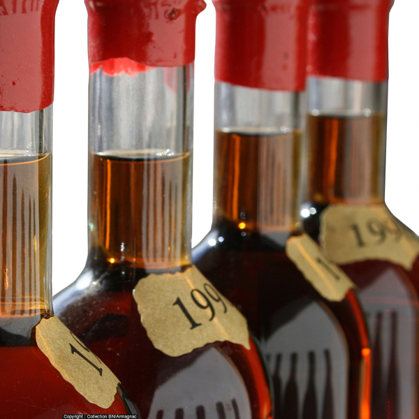 Armagnacs millésimés bruts de fût