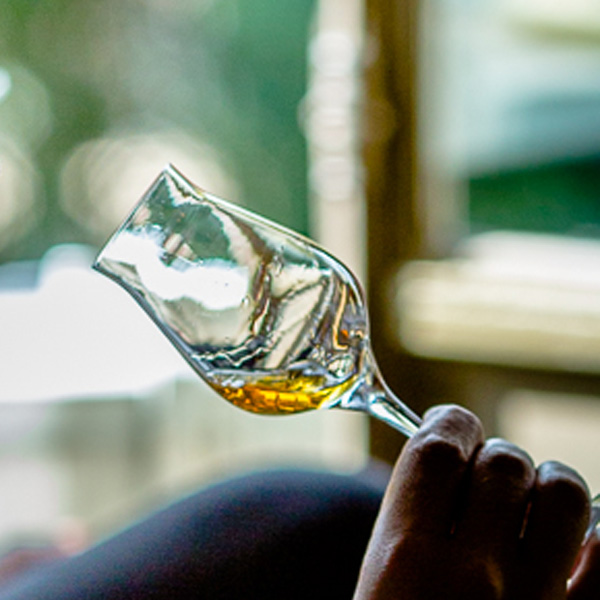 Rhum, le sucre de la discorde