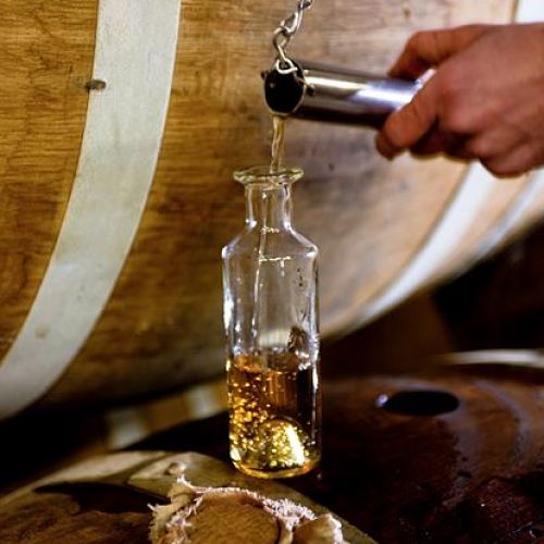 La diversité du cognac (session du lundi)