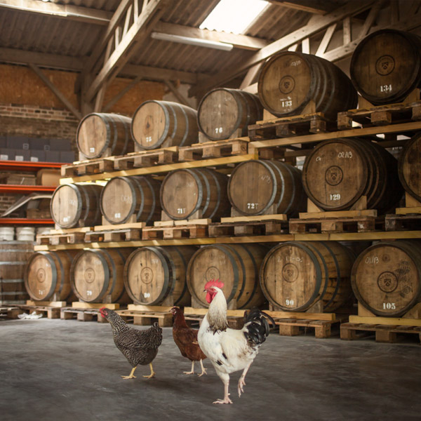 Les fermes-distilleries